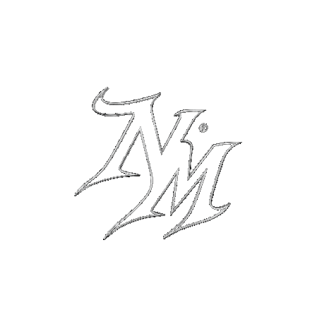 Newer Me